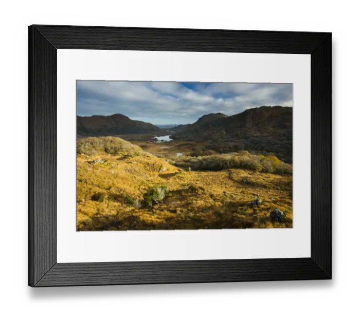 Framed Print : View over moorland towards lake and mountains, Ladies View, Upper Lake, Lakes of Killarney, Killarney N. P Framed Print : View over moorland towards lake and mountains, Ladies View, Upper Lake, Lakes of Killarney, Killarney N. P