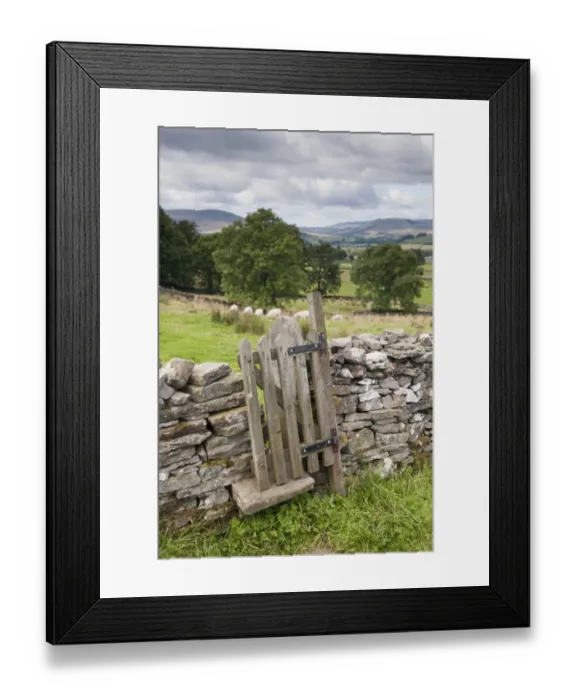 Framed Print : Stile and gate in drystone wall on public footpath, near Burtersett, Hawes, Wensleydale, Yorkshire Dales N. P Framed Print : Stile and gate in drystone wall on public footpath, near Burtersett, Hawes, Wensleydale, Yorkshire Dales N. P