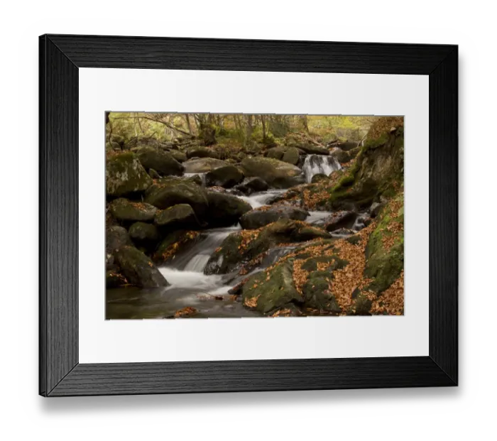 Framed Print : Cascading stream and autumn beech leaves in woodland habitat, Lauze Valley, near Pailheres, French Pyrenees, France