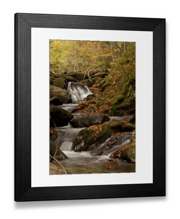 Framed Print : Cascading stream and autumn beech leaves in woodland habitat, Lauze Valley, near Pailheres, French Pyrenees, France Framed Print : Cascading stream and autumn beech leaves in woodland habitat, Lauze Valley, near Pailheres, French Pyrenees, France
