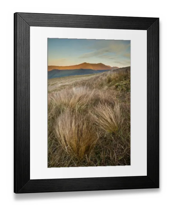 Framed Print : Grass and mountain peak at sunrise, Conor Pass, Dingle Peninsula, County Kerry, Munster, Ireland, November Framed Print : Grass and mountain peak at sunrise, Conor Pass, Dingle Peninsula, County Kerry, Munster, Ireland, November