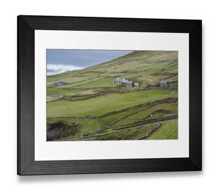 Framed Print : View of coastal farmland with drystone walls, houses and sheep grazing in pasture, Coumeenole North, Slea Head Framed Print : View of coastal farmland with drystone walls, houses and sheep grazing in pasture, Coumeenole North, Slea Head