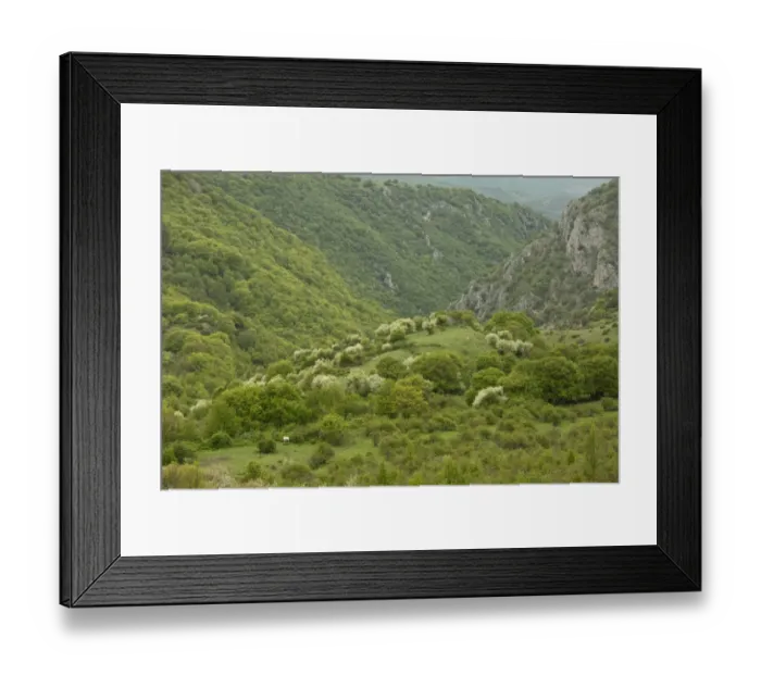 Framed Print : View of prime Marsican Brown Bear (Ursus arctos marsicanus) habitat, below bear-watching point, Gioia Vecchio Framed Print : View of prime Marsican Brown Bear (Ursus arctos marsicanus) habitat, below bear-watching point, Gioia Vecchio