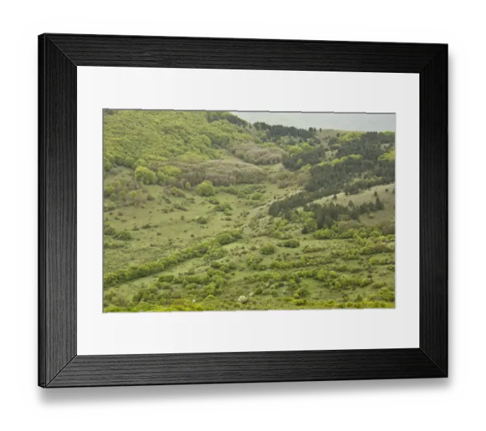 Framed Print : View of prime Marsican Brown Bear (Ursus arctos marsicanus) habitat, below bear-watching point, Gioia Vecchio Framed Print : View of prime Marsican Brown Bear (Ursus arctos marsicanus) habitat, below bear-watching point, Gioia Vecchio