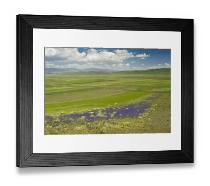 Framed Print : View of farmed landscape with vipers bugloss, near Cildir, near Aktas Golu, Pontic Mountains, Anatolia, Turkey, July Framed Print : View of farmed landscape with vipers bugloss, near Cildir, near Aktas Golu, Pontic Mountains, Anatolia, Turkey, July