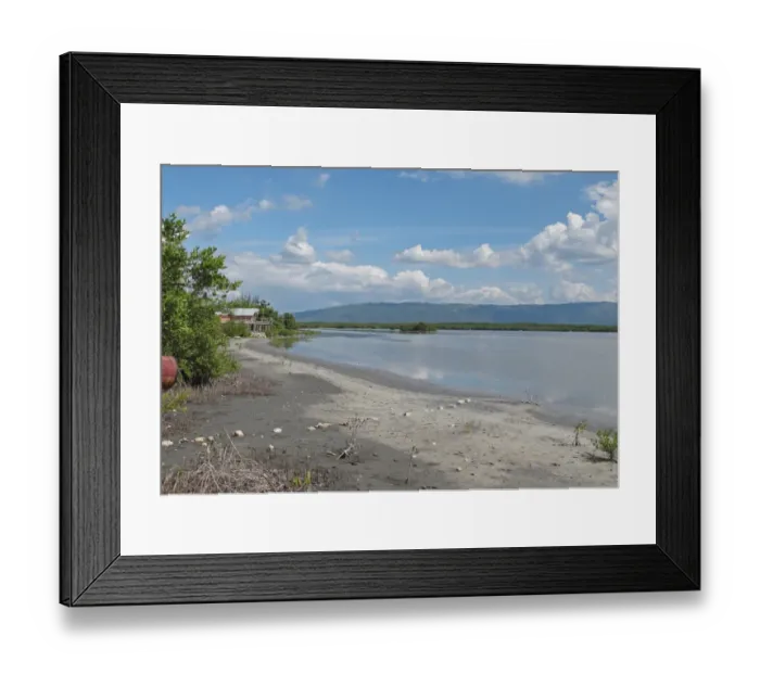 Framed Print : View of wetland habitat, Lower Morass, Black River, Jamaica, December Framed Print : View of wetland habitat, Lower Morass, Black River, Jamaica, December