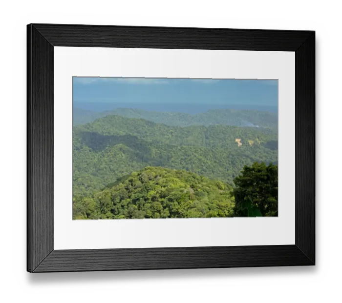 Framed Print : View of protected forested hills, Northern Range Mountains, near Blanchisseuse, Trinidad, Trinidad and Tobago, February Framed Print : View of protected forested hills, Northern Range Mountains, near Blanchisseuse, Trinidad, Trinidad and Tobago, February