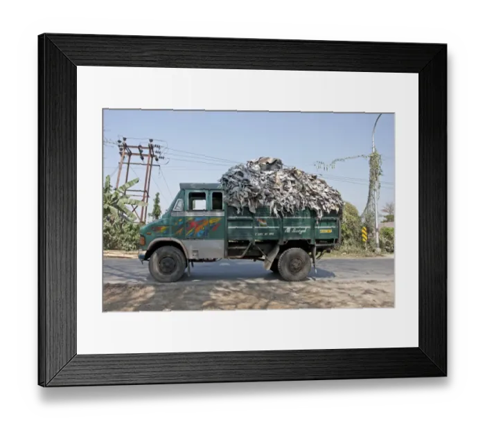Framed Print : Recycled leather being delivered by lorry to make potash, Sundarbans, Ganges Delta, West Bengal, India, February Framed Print : Recycled leather being delivered by lorry to make potash, Sundarbans, Ganges Delta, West Bengal, India, February
