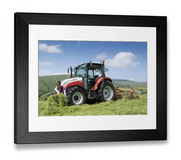 Framed Print : Farmer checking quality of mown grass, beside Steyr tractor with tedder, Cumbria, England, July Framed Print : Farmer checking quality of mown grass, beside Steyr tractor with tedder, Cumbria, England, July