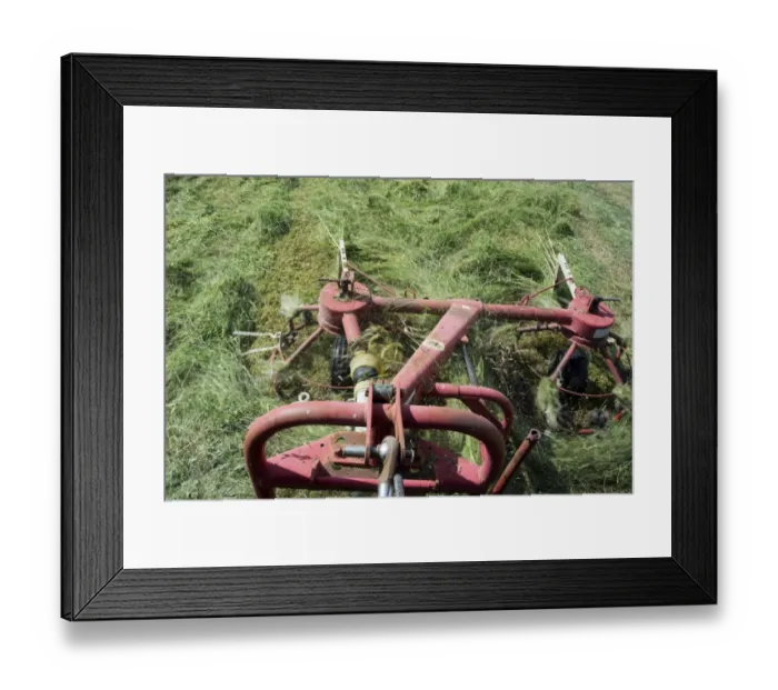 Framed Print : Close-up of tedder, spreading newly mown grass to wilt better and make good hay, Cumbria, England, July Framed Print : Close-up of tedder, spreading newly mown grass to wilt better and make good hay, Cumbria, England, July