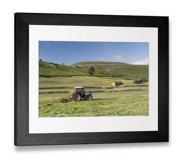 Framed Print : Hurlimann tractor with tedder, turning hay in upland meadow, Muker, Swaledale, Yorkshire Dales N. P Framed Print : Hurlimann tractor with tedder, turning hay in upland meadow, Muker, Swaledale, Yorkshire Dales N. P