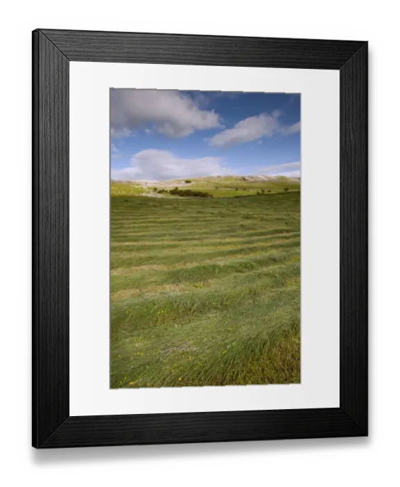Framed Print : Newly mowed upland hay meadow, Cumbria, England, June Framed Print : Newly mowed upland hay meadow, Cumbria, England, June