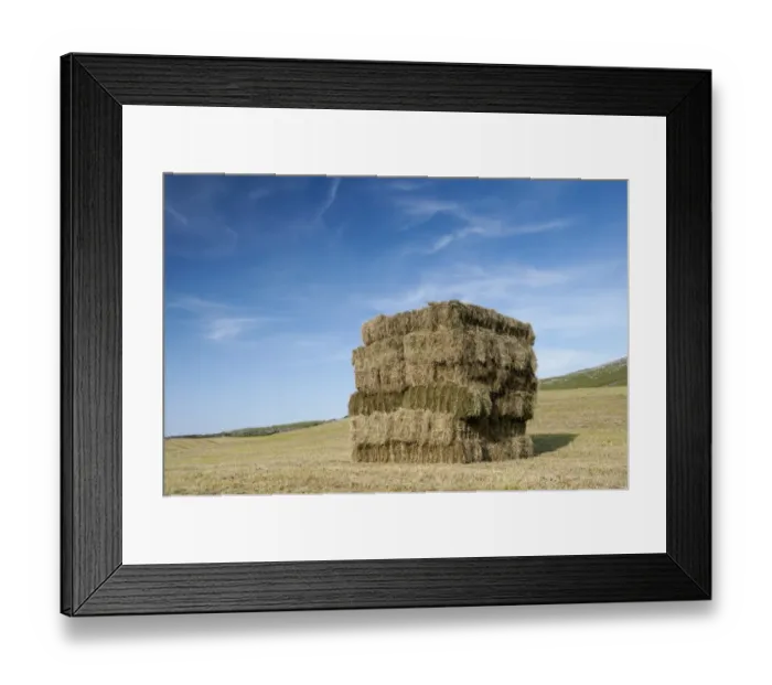 Framed Print : Bales of hay, stacked in flat eight system on field, Cumbria, England, July Framed Print : Bales of hay, stacked in flat eight system on field, Cumbria, England, July