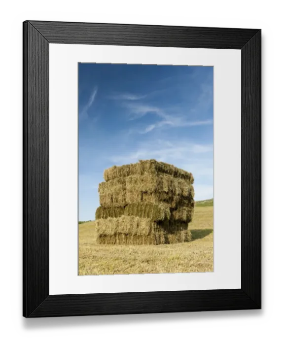 Framed Print : Bales of hay, stacked in flat eight system on field, Cumbria, England, July Framed Print : Bales of hay, stacked in flat eight system on field, Cumbria, England, July