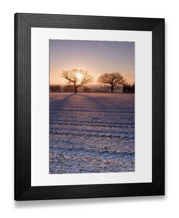 Framed Print : View of snow covered ploughed field with sun rising behind bare trees, Yorkshire, England, december Framed Print : View of snow covered ploughed field with sun rising behind bare trees, Yorkshire, England, december
