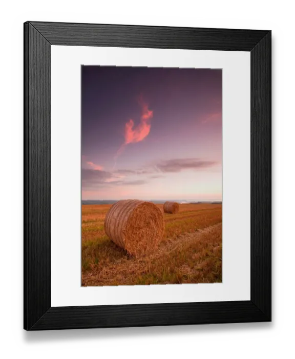 Framed Print : Round straw bales in stubble field at sunset, with distant view of River Taw onto The Bar in Bideford Bay