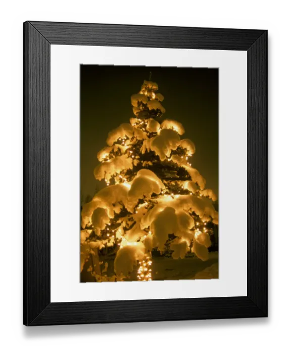 Framed Print : Tree - Decorated Christmas tree - outside covered in snow - Anchorage, Alaska Framed Print : Tree - Decorated Christmas tree - outside covered in snow - Anchorage, Alaska