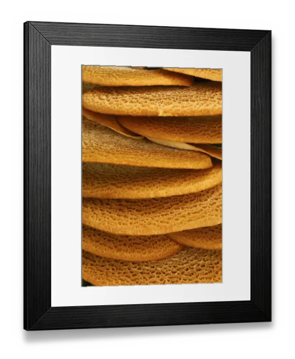 Framed Print : Dryads Saddle (Polyporus squamosus) close-up of fruiting bodies, in deciduous woodland, Derbyshire, England Framed Print : Dryads Saddle (Polyporus squamosus) close-up of fruiting bodies, in deciduous woodland, Derbyshire, England