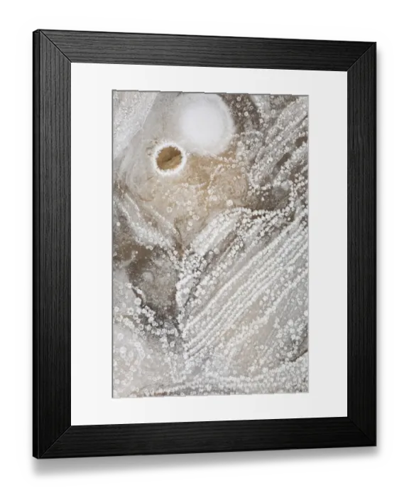 Framed Print : Ice on surface of puddle, after hard frost, Powys, Wales, winter