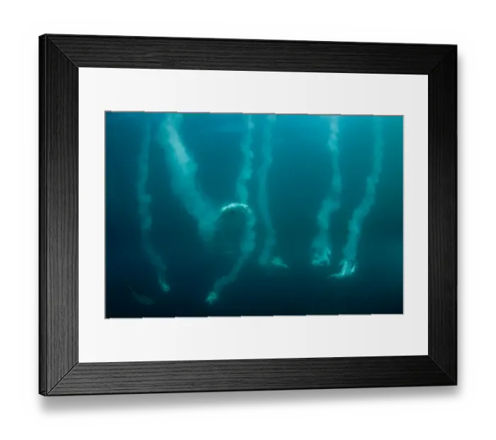 Framed Print : Cape Gannet (Morus capensis) six adults, group diving underwater and feeding on baitball school of small bait fish