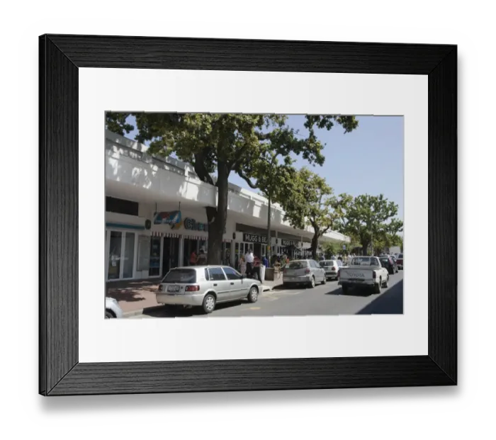 Framed Print : Street tree growing through building in town, Stellenbosch, Western Cape, South Africa