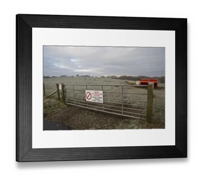 Framed Print : Domestic Sheep, flock, standing in frost covered pasture with feeder, gate with Military Live Firing Range, No Entry sign in foreground, Lulworth, Dorset, England, january Framed Print : Domestic Sheep, flock, standing in frost covered pasture with feeder, gate with Military Live Firing Range, No Entry sign in foreground, Lulworth, Dorset, England, january
