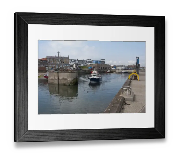 Framed Print : Tourist boat leaving harbour for Farne Islands, Seahouses Harbour, Northumberland, England, july Framed Print : Tourist boat leaving harbour for Farne Islands, Seahouses Harbour, Northumberland, England, july