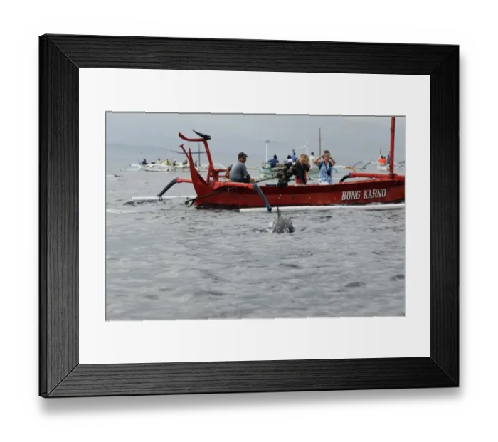Framed Print : Tourists dolphin watching from boat, Bali, Lesser Sunda Islands, Indonesia, march Framed Print : Tourists dolphin watching from boat, Bali, Lesser Sunda Islands, Indonesia, march
