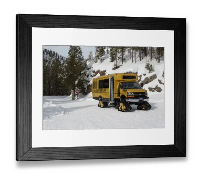 Framed Print : Snow vehicle used to access closed roads, Yellowstone N. P. Wyoming, U. S. A. february Framed Print : Snow vehicle used to access closed roads, Yellowstone N. P. Wyoming, U. S. A. february