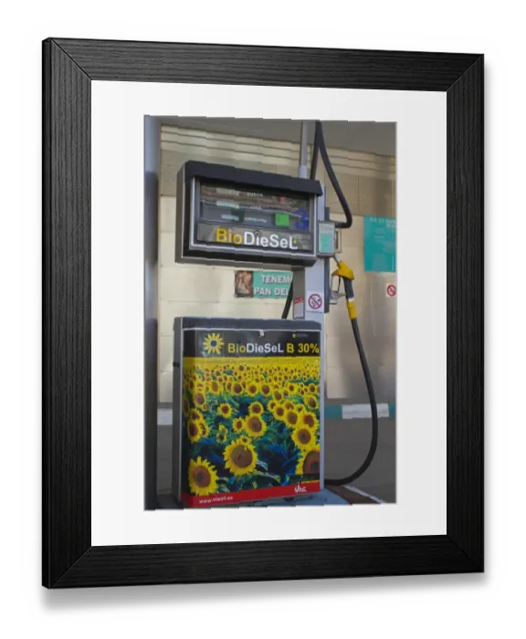 Framed Print : Biodiesel fuel pump, Spain Framed Print : Biodiesel fuel pump, Spain