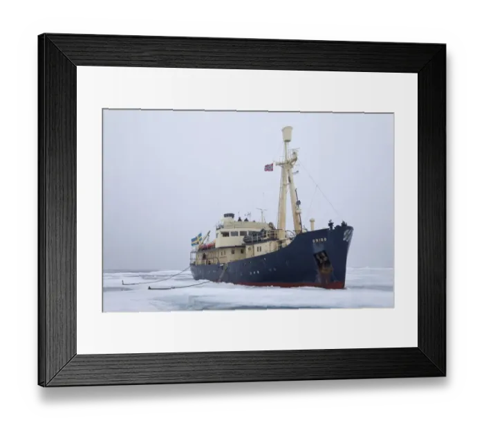 Framed Print : Origo icebreaker moored in pack ice, Arctic Sea, Svalbard, september Framed Print : Origo icebreaker moored in pack ice, Arctic Sea, Svalbard, september