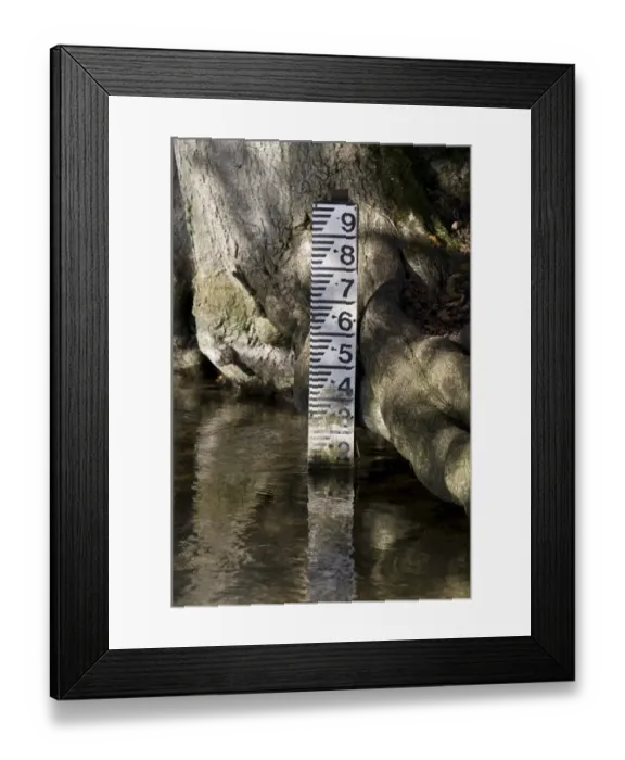 Framed Print : Water level depth marker in chalk stream, River Piddle, Dorset, England, november Framed Print : Water level depth marker in chalk stream, River Piddle, Dorset, England, november