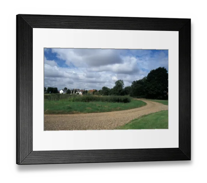 Framed Print : Bulrush (Typha latifolia) Growing in pond at Mellis Common, Suffolk Wildlife Trust Framed Print : Bulrush (Typha latifolia) Growing in pond at Mellis Common, Suffolk Wildlife Trust