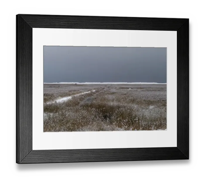 Framed Print : Common Reed (Phragmites australis) snow covered frozen reedbed habitat, Cley Marshes Reserve, Cley, Norfolk, England, december Framed Print : Common Reed (Phragmites australis) snow covered frozen reedbed habitat, Cley Marshes Reserve, Cley, Norfolk, England, december