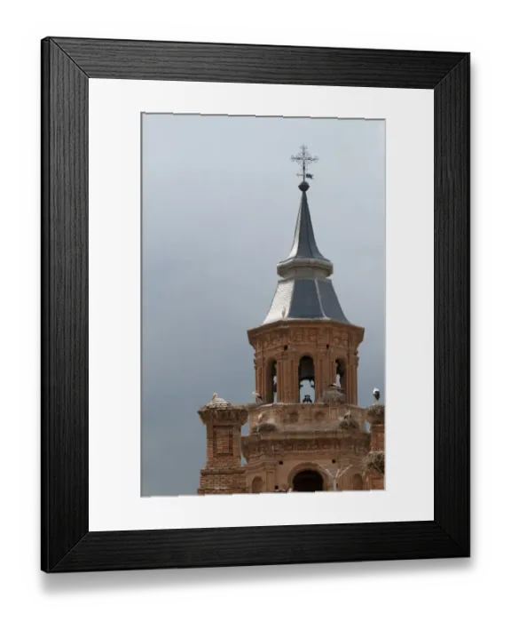 Framed Print : White Stork (Ciconia ciconia) adults at nests, nesting colony on cathedral roof, Alfaro Cathedral, Alfaro, La Rioja, Spain, may Framed Print : White Stork (Ciconia ciconia) adults at nests, nesting colony on cathedral roof, Alfaro Cathedral, Alfaro, La Rioja, Spain, may