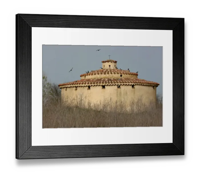 Framed Print : Domestic Pigeon, flock gathering on roof of traditional palomar dovecote, Villagalia, Spain, april Framed Print : Domestic Pigeon, flock gathering on roof of traditional palomar dovecote, Villagalia, Spain, april