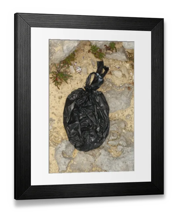 Framed Print : Domestic Dog, muck in plastic waste bag, left on coastal rocks, Portland Bill, Isle of Portland, Dorset, England, july