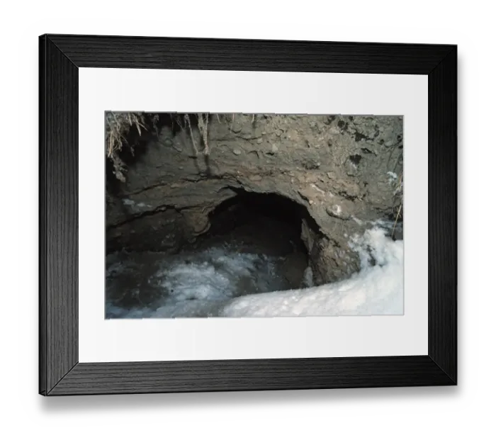 Framed Print : Grizzly Bear (Ursus arctos horribilis) den entrance, Alaska, U. S. A Framed Print : Grizzly Bear (Ursus arctos horribilis) den entrance, Alaska, U. S. A