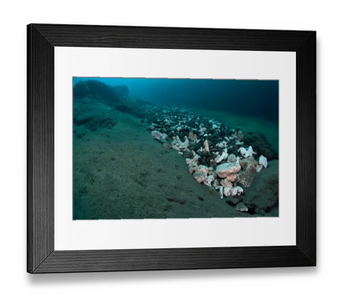 Framed Print : Volcanic scree underwater flow, Cauldron Point, Komba Island, Lesser Sunda Islands, Indonesia Framed Print : Volcanic scree underwater flow, Cauldron Point, Komba Island, Lesser Sunda Islands, Indonesia