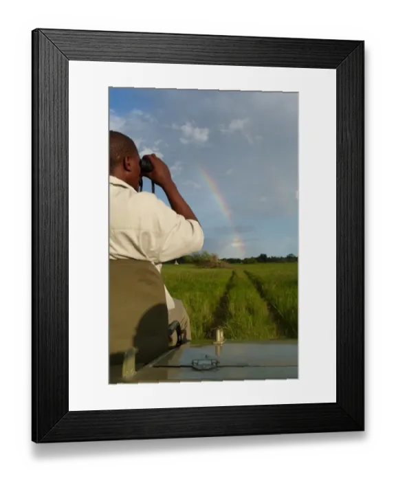 Framed Print : Spotter sitting at front of safari vehicle, in wetland habitat with rainbow, Okavango Delta, Botswana Framed Print : Spotter sitting at front of safari vehicle, in wetland habitat with rainbow, Okavango Delta, Botswana