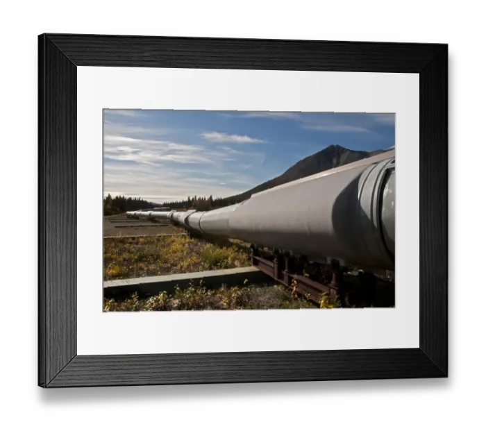 Framed Print : Oil pipeline crossing taiga habitat, Alaska Oil Pipeline, near Denali Highway, Alaska, U. S. A. september Framed Print : Oil pipeline crossing taiga habitat, Alaska Oil Pipeline, near Denali Highway, Alaska, U. S. A. september