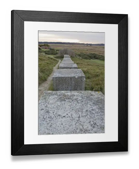 Framed Print : View of World War Two concrete tank traps on coastal dunes, Minsmere RSPB Reserve, Suffolk, England, november Framed Print : View of World War Two concrete tank traps on coastal dunes, Minsmere RSPB Reserve, Suffolk, England, november