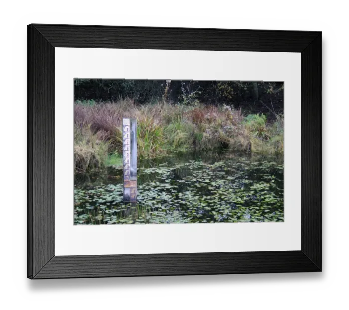 Framed Print : Water level depth gauge in pond at edge of fen, in valley fen reserve, Market Weston Fen, Market Weston, Suffolk, England, november