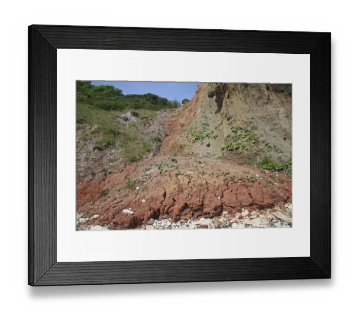 Framed Print : Slumped sea cliff with Reading Formation reddish coloured marls, Whitecliff Bay, Isle of Wight, England, june Framed Print : Slumped sea cliff with Reading Formation reddish coloured marls, Whitecliff Bay, Isle of Wight, England, june