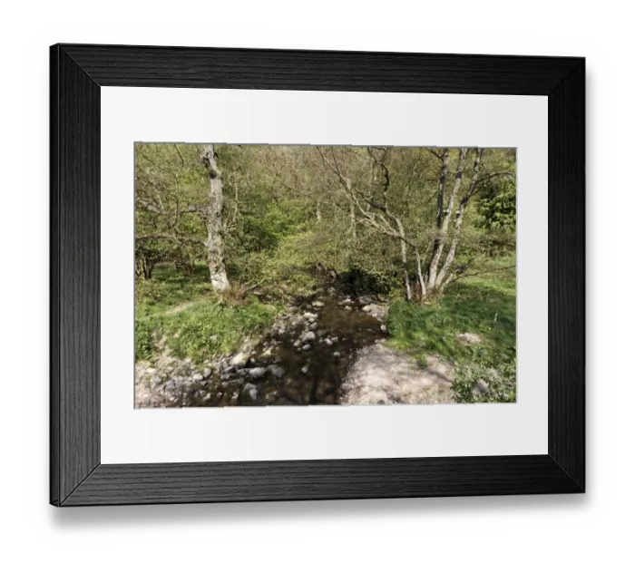 Framed Print : Stream in woodland habitat, Coombes Valley RSPB Reserve, Staffordshire, England, april