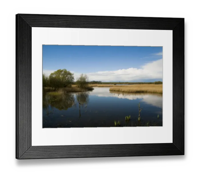 Framed Print : View of wetland habitat with open water and reedbeds, Stodmarsh N. N. R. Kent, England, april Framed Print : View of wetland habitat with open water and reedbeds, Stodmarsh N. N. R. Kent, England, april