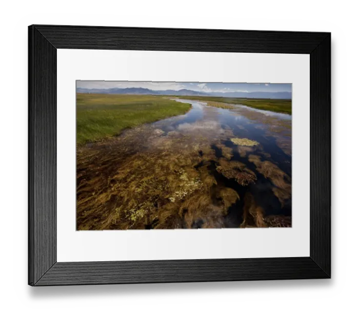 Framed Print : River full of aquatic plants, with Sierra Nevada mountain range in distance, Sierra Valley Channels, Sierra Valley, California, U. S. A. july Framed Print : River full of aquatic plants, with Sierra Nevada mountain range in distance, Sierra Valley Channels, Sierra Valley, California, U. S. A. july