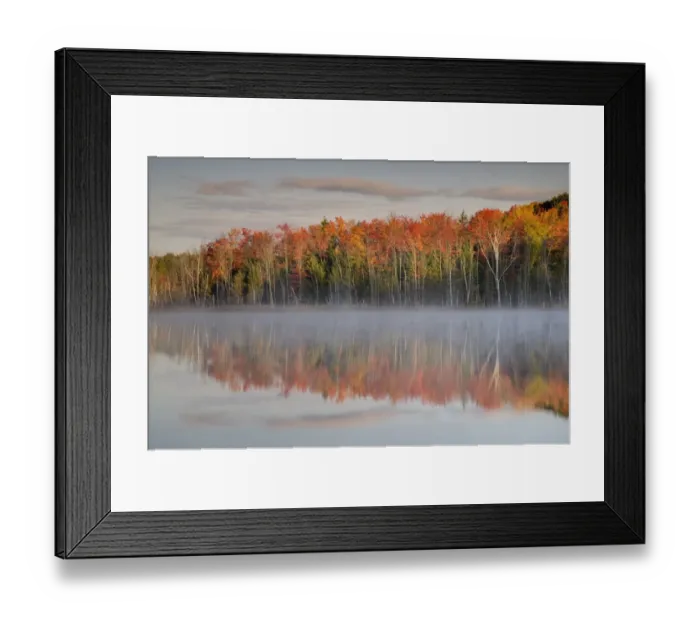 Framed Print : Trees in autumn colours reflected in lake, Red Jack Lake, Upper Peninsula, Michigan, U. S. A. october Framed Print : Trees in autumn colours reflected in lake, Red Jack Lake, Upper Peninsula, Michigan, U. S. A. october