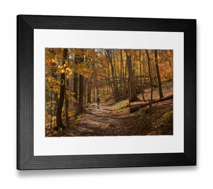 Framed Print : Walker on woodland trail in autumn, Appalachian Trail, Delaware Gap, New Jersey, U. S. A. november Framed Print : Walker on woodland trail in autumn, Appalachian Trail, Delaware Gap, New Jersey, U. S. A. november