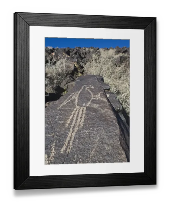 Framed Print : Macaw petroglyph carved on basalt rock, Petroglyph National Monument, Albuqurque, New Mexico, U. S. A. january Framed Print : Macaw petroglyph carved on basalt rock, Petroglyph National Monument, Albuqurque, New Mexico, U. S. A. january